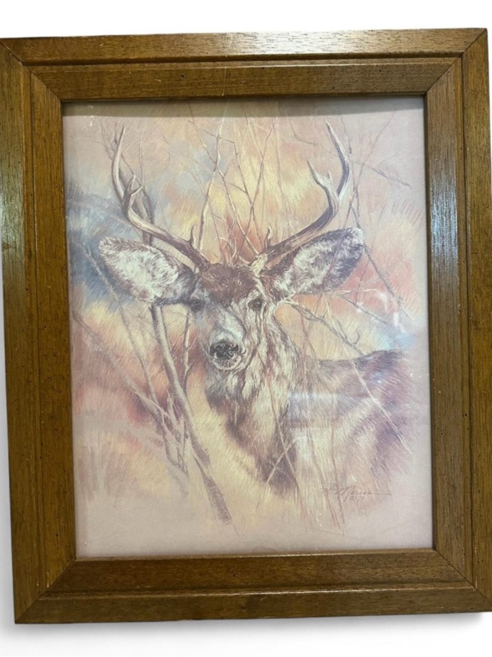 Wood-Framed Deer Portrait Print in Soft Neutrals